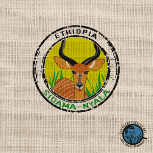 Café-sidamo-éthiopie